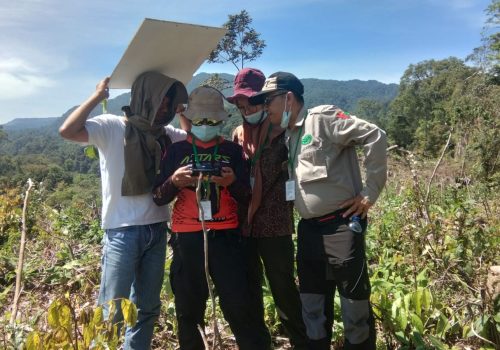 WhatsApp Image 2024-06-24 at 11.19.30_855907ab WhatsApp Image 2024-06-24 at 11.19.30_855907ab